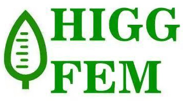 HIGG-FEM